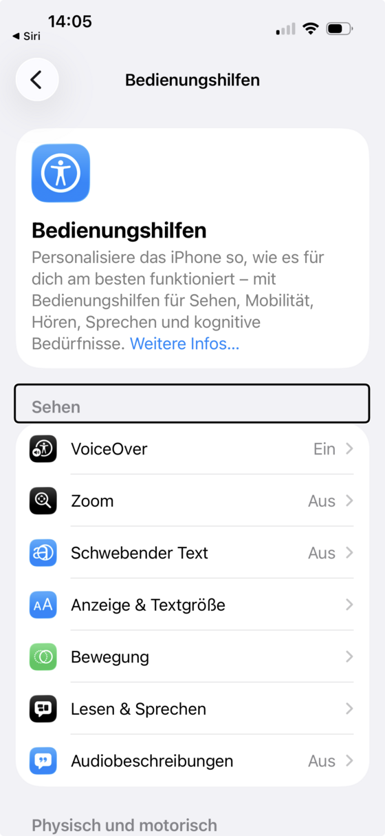iPhone-Einstellungen „Bedienungshilfen“ mit dem Bereich „Sehen“ und dem Eintrag VoiceOver auf „Ein“.