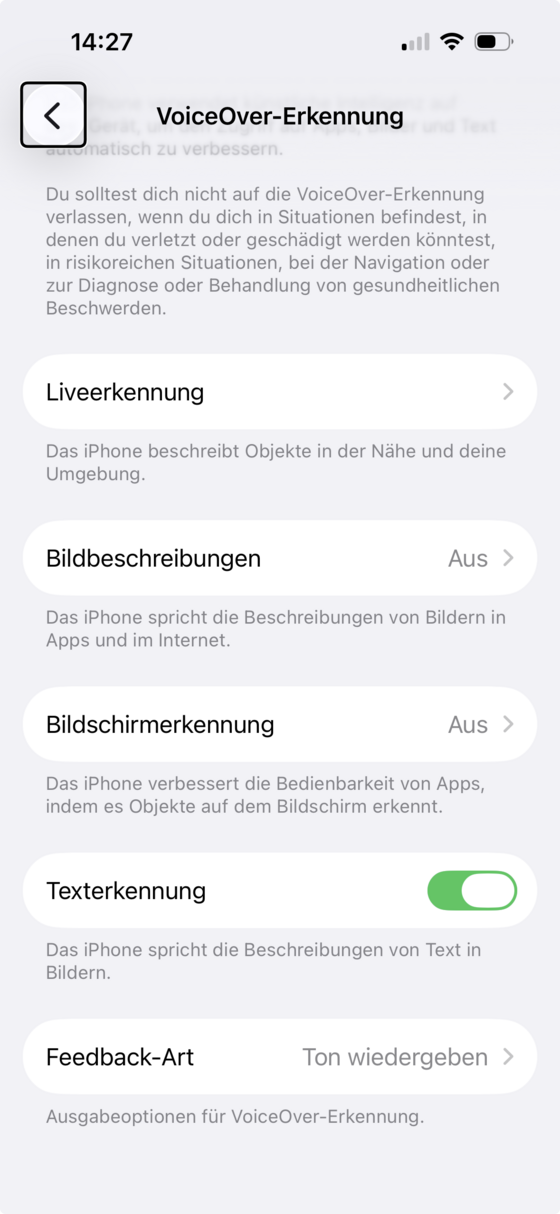 Bildschirm „VoiceOver-Erkennung“ mit Liveerkennung, Bildbeschreibungen, Bildschirmerkennung und Texterkennung.