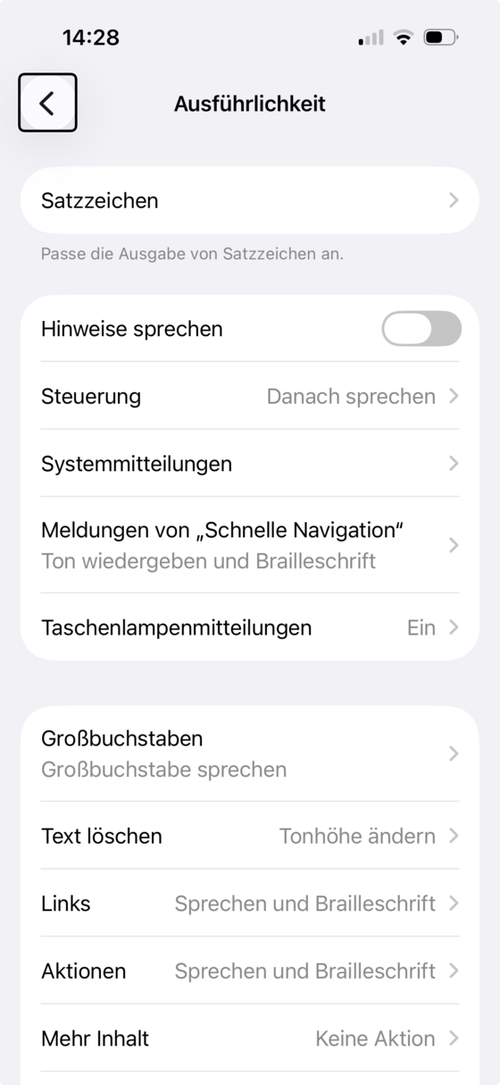 Bildschirm „Ausführlichkeit“ mit Einträgen zu Satzzeichen, Hinweisen, Systemmitteilungen, Großbuchstaben und mehr.