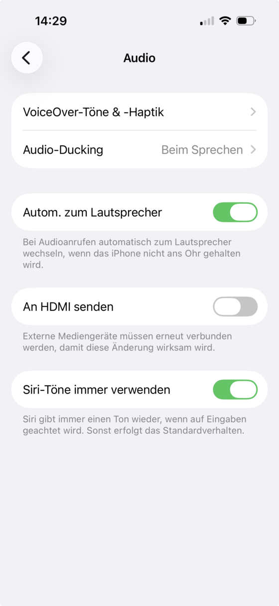 Bildschirm „Audio“ mit VoiceOver-Töne & -Haptik, Audio-Ducking und weiteren Schaltern.