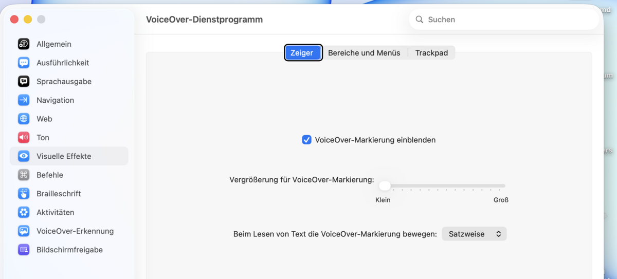 Visuelle-Effekte-Unter-Reiter „Zeiger“ mit Kontrollkästchen, Schieberegler und einem Einblendmenü.