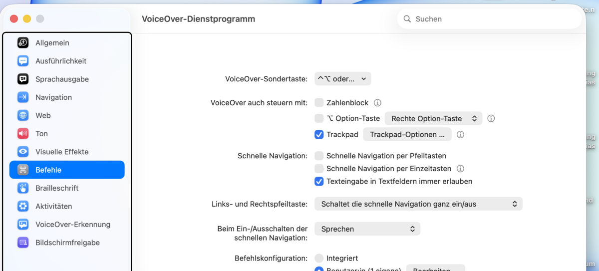Reiter „Befehle“ mit Einblendmenü für die VoiceOver-Sondertaste und Kontrollkästchen für Zahlenblock, Option-Taste und Trackpad.