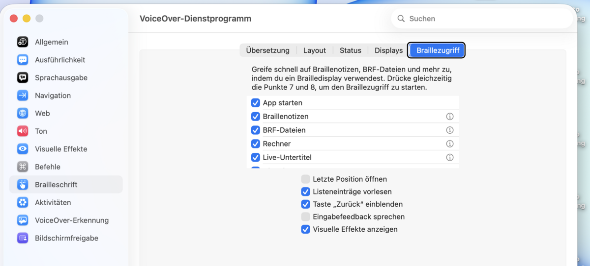 Brailleschrift-Unter-Reiter „Braillezugriff“ mit einer Liste an Funktionen als Kontrollkästchen.